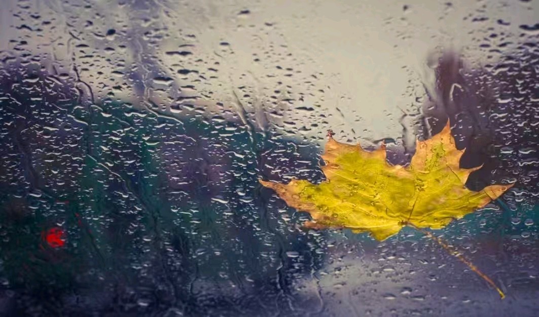 【风雅诗社】秋雨 文/李咸化(山东济南)（图3）