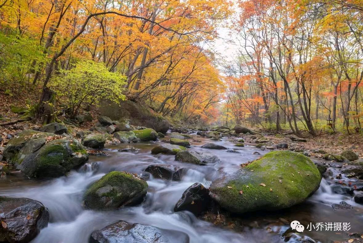 【荣耀中国】文学社*（原创首发）七言绝句（十首）中华通韵文／沙漠飞鹰（图12）