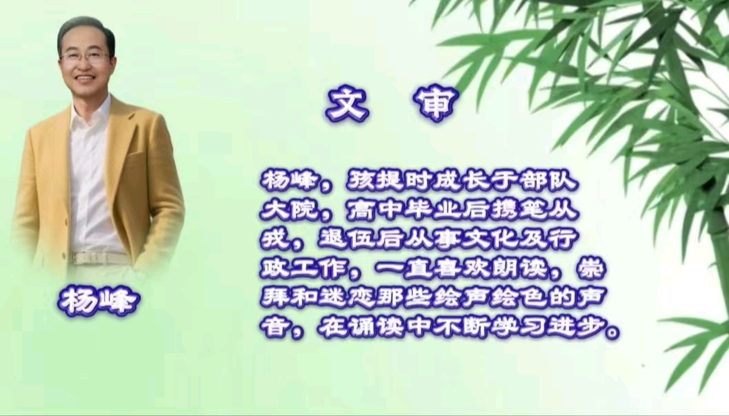 青竹与诗的絮语（图15）