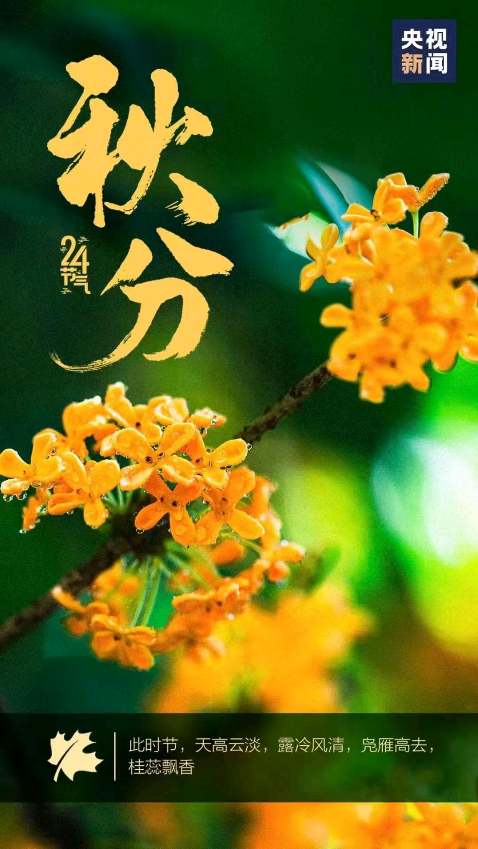 【荣耀中国】请欣赏优秀诗人王楼诗词（图3）
