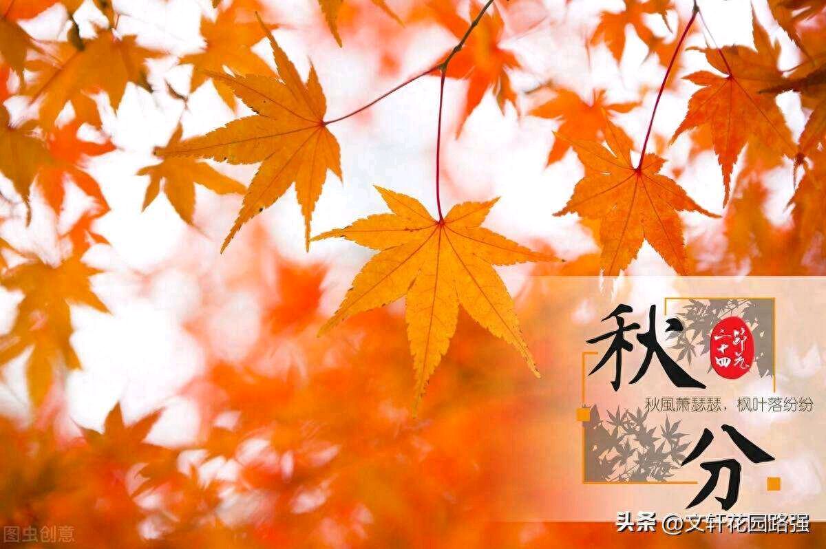 推荐丨辉叔 七绝 乙巳秋分寄怀等二十四首（图3）