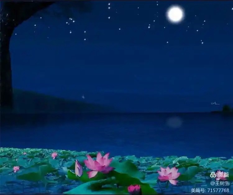 七绝 垄头杂吟（外二十一首）：作者||张树元（内蒙古）海外头条（图8）
