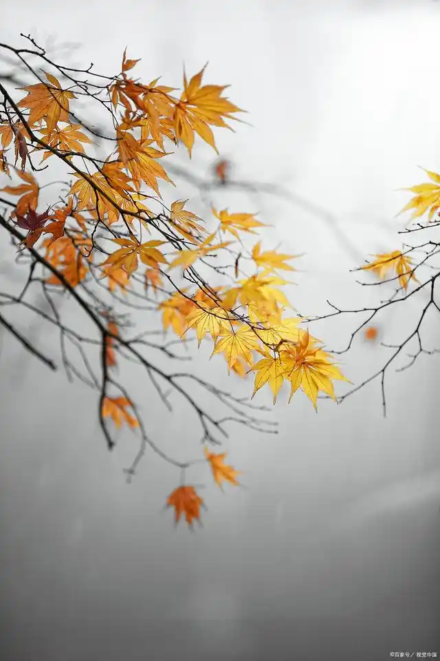 秋分有念 文/郭永华（图2）
