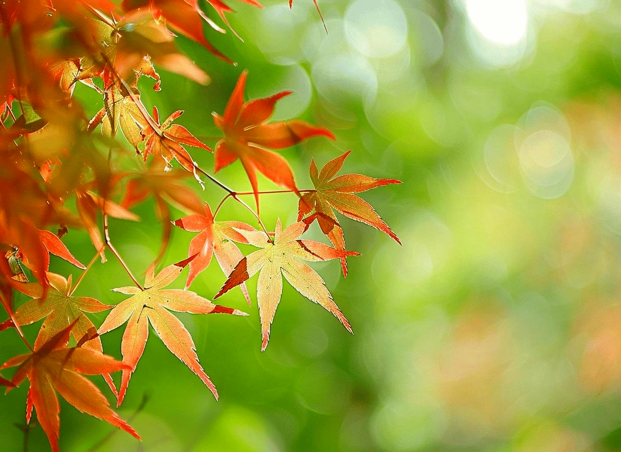 高虹诵读《春分秋分，昼夜平衡》 作者：任学路（图6）