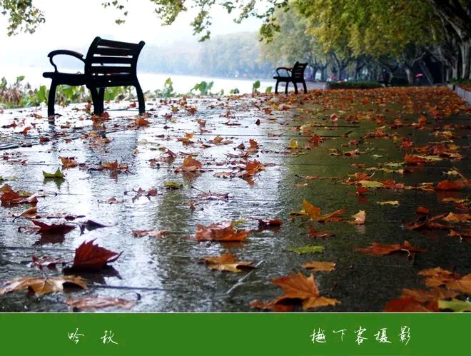 《涧石当代诗人创作当代诗及当代古诗》作者：涧石 [中国现代诗歌文化传媒推荐]（图6）