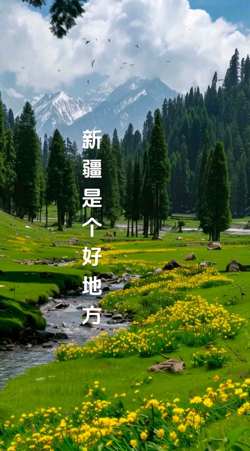 新疆之旅（组合）诗词◑吴君明（图31）