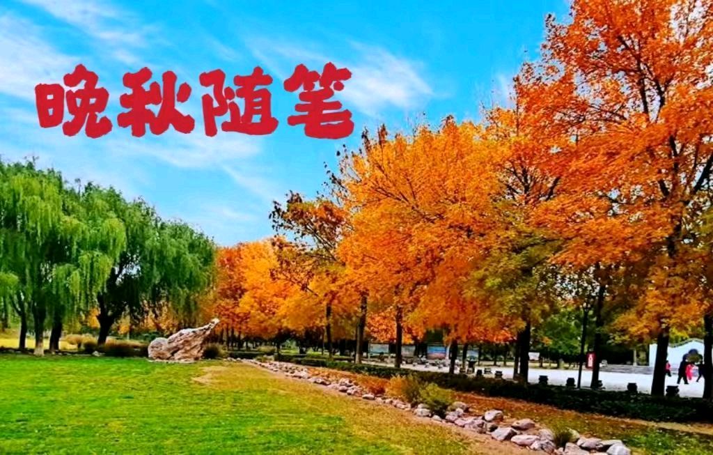 【经典推荐 秋韵抒怀】鲁坡//疏雨霏霏秋添愁[秋分已过秋韵深]系列作品展（图9）
