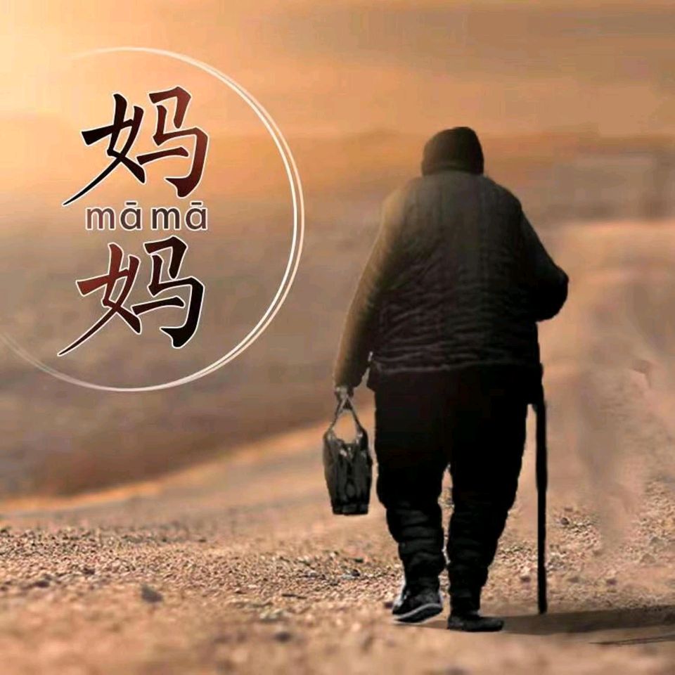 《秋天的别离》作者：王奔儿/主播：丹桂【桃园国际诗歌文化传媒】桃源·馨声（图4）