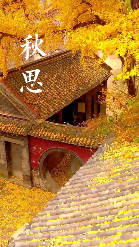 秋思（外一首）诗◑刘振平（图8）
