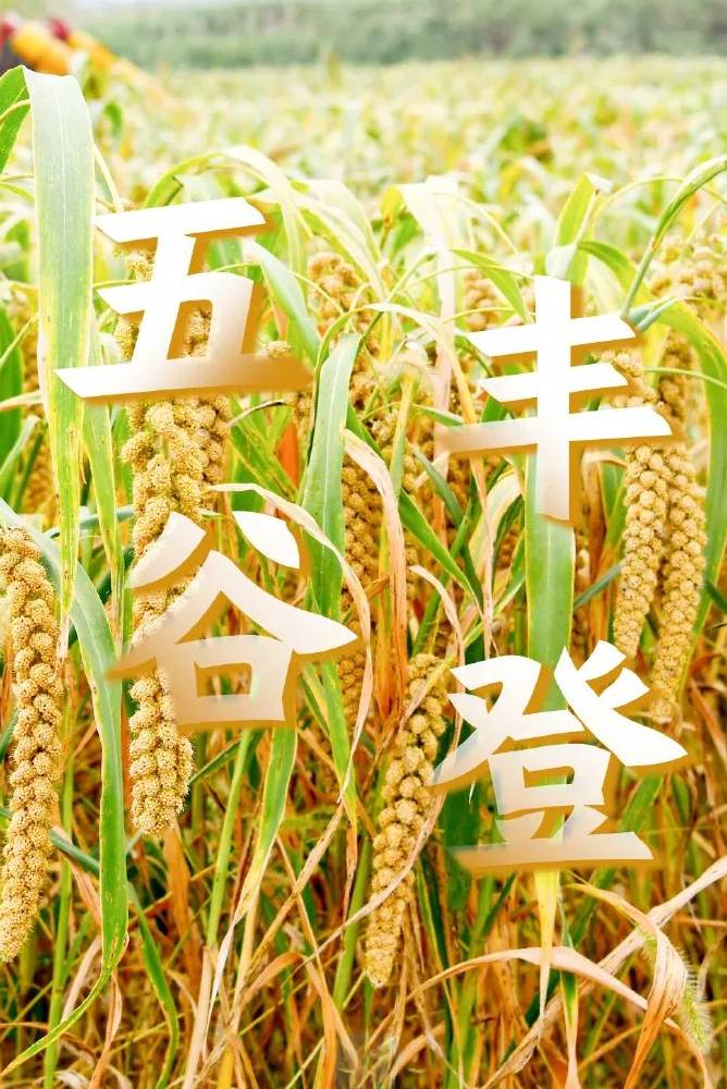 秋思（外一首）诗◑刘振平（图16）