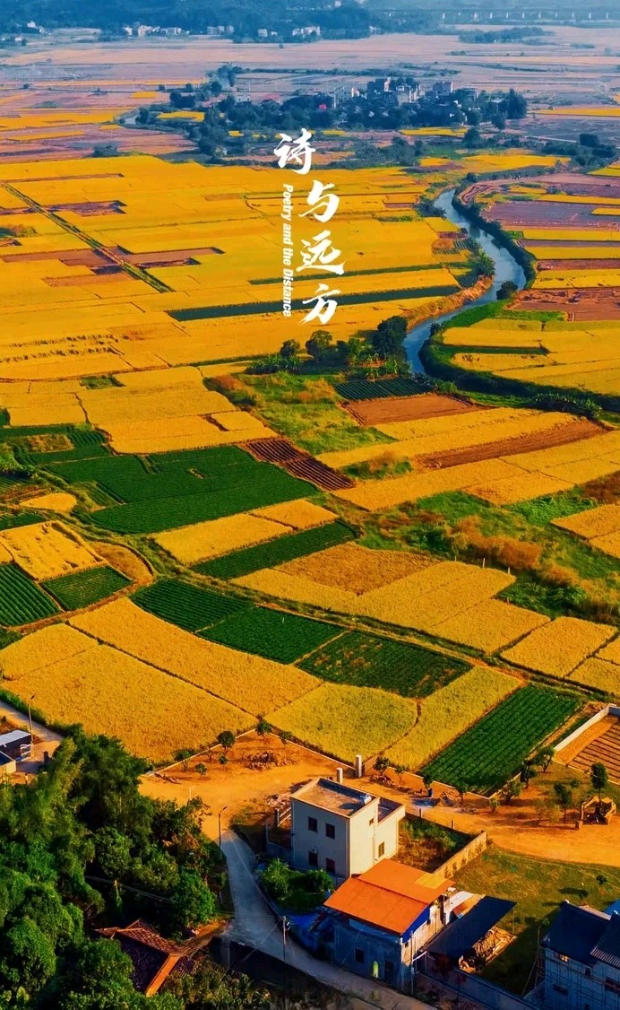秋思（外一首）诗◑刘振平（图17）
