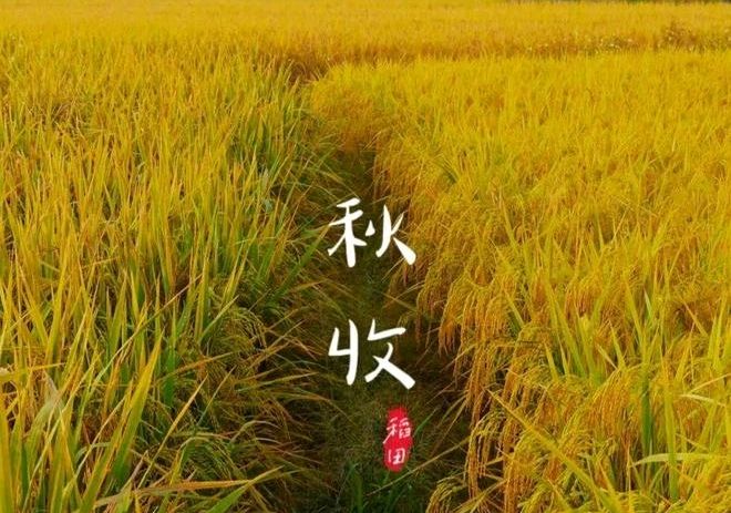 秋思（外一首）诗◑刘振平（图15）