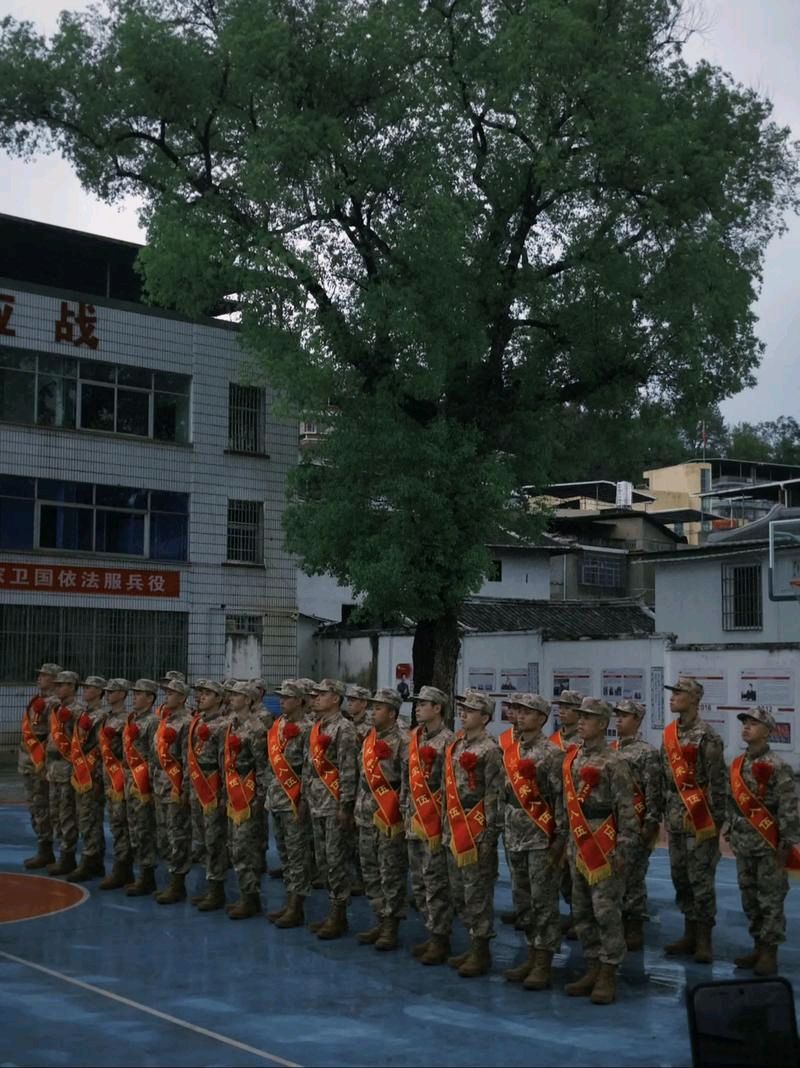 【枫雅汇看图约诗】第405期《入伍》（图8）