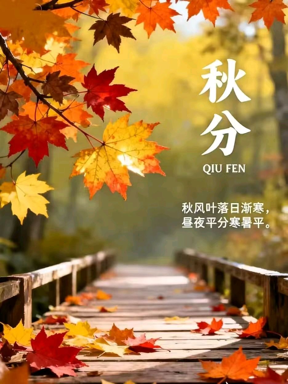 【荣耀中国】秋分尘封的记忆（江苏宿迁）（图4）