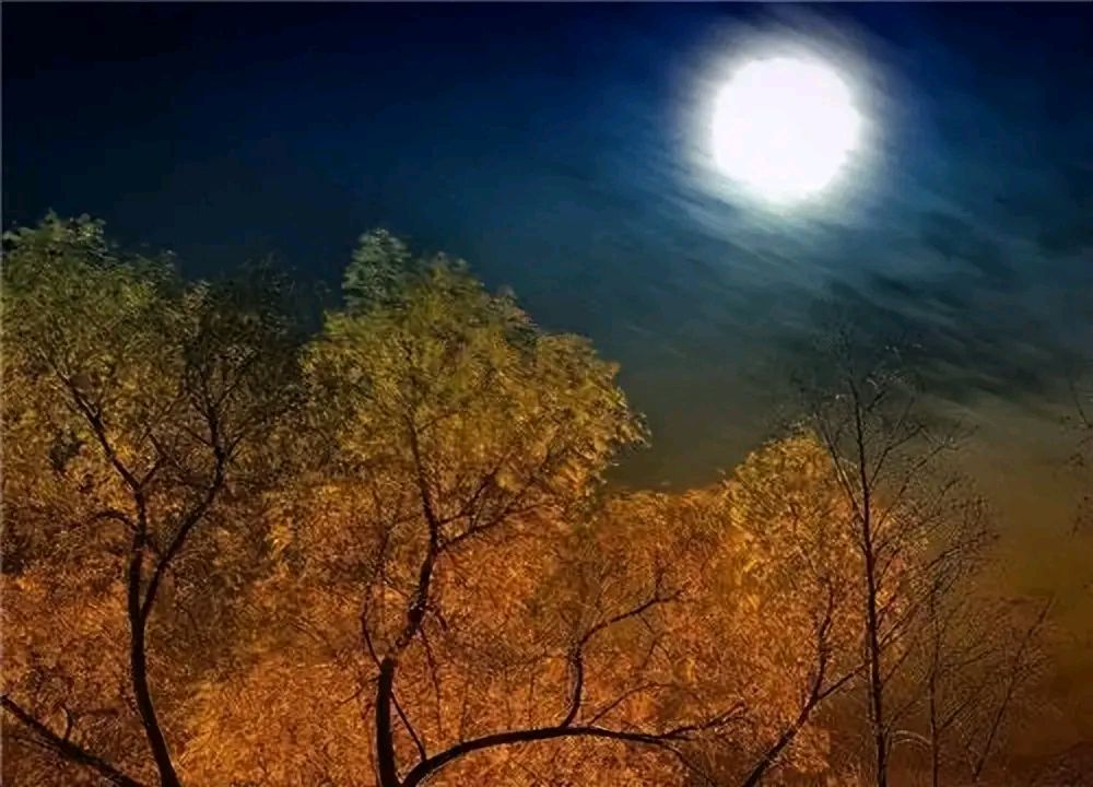 《著名当代诗人刘文波当代古诗词七律三首》作者：刘文波 [中国现代诗歌文化传媒推荐]（图7）