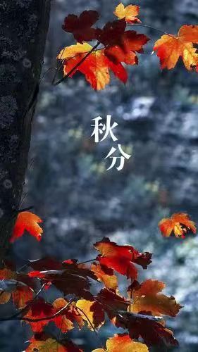 【荣耀中国】万菊芳 题图诗第60期（图10）