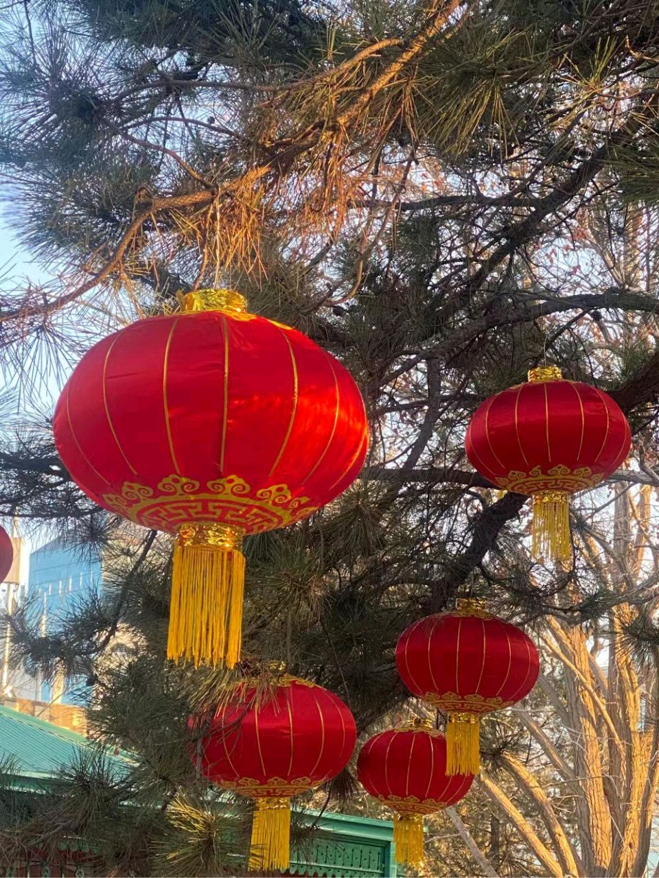 【荣耀中国】深圳分社国庆中秋专刊隆重推荐（图10）
