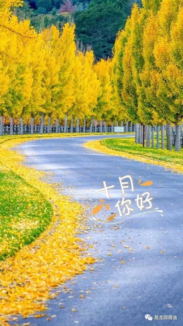 高虹//张希诵读《十月的色调》 作者：任学路（图7）