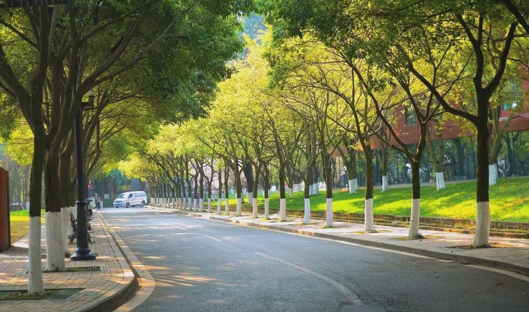 张希诵读《国庆节的意义》 作者：任学路（图6）