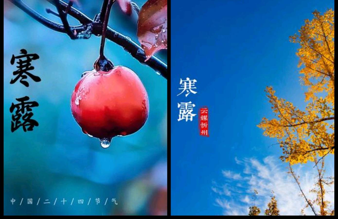 【国庆中秋专题】丁旭//鹧鸪天•时序八月，即将寒露，连日阴雨，特写（图4）