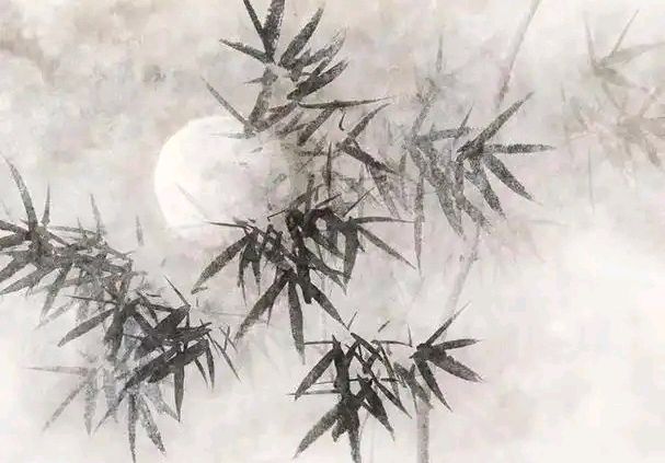 神奇的月亮画~文◑胡采云(图14)