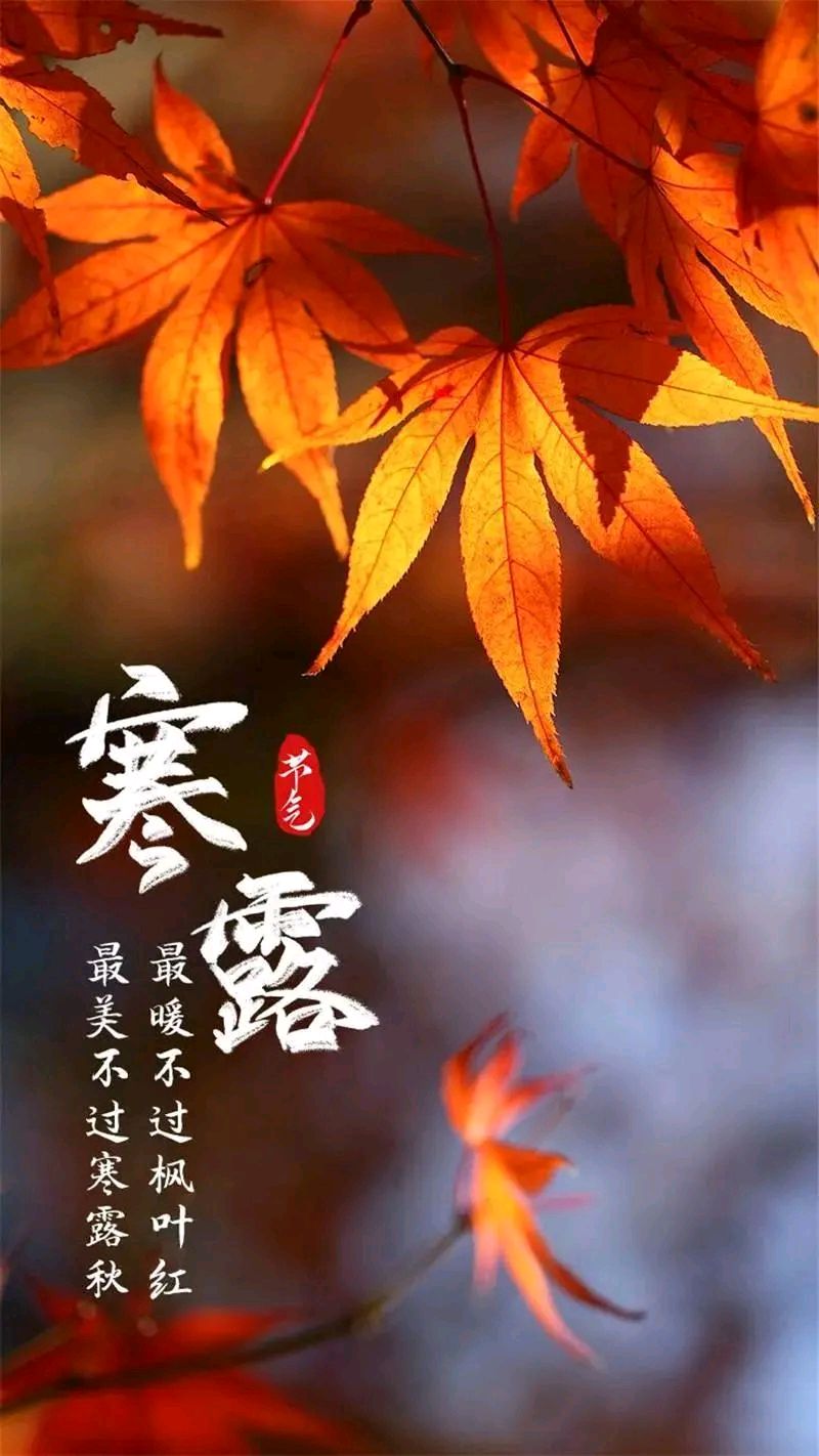 七律·乙巳寒露吟（文/邹晓华）……莲叶之珠文学社