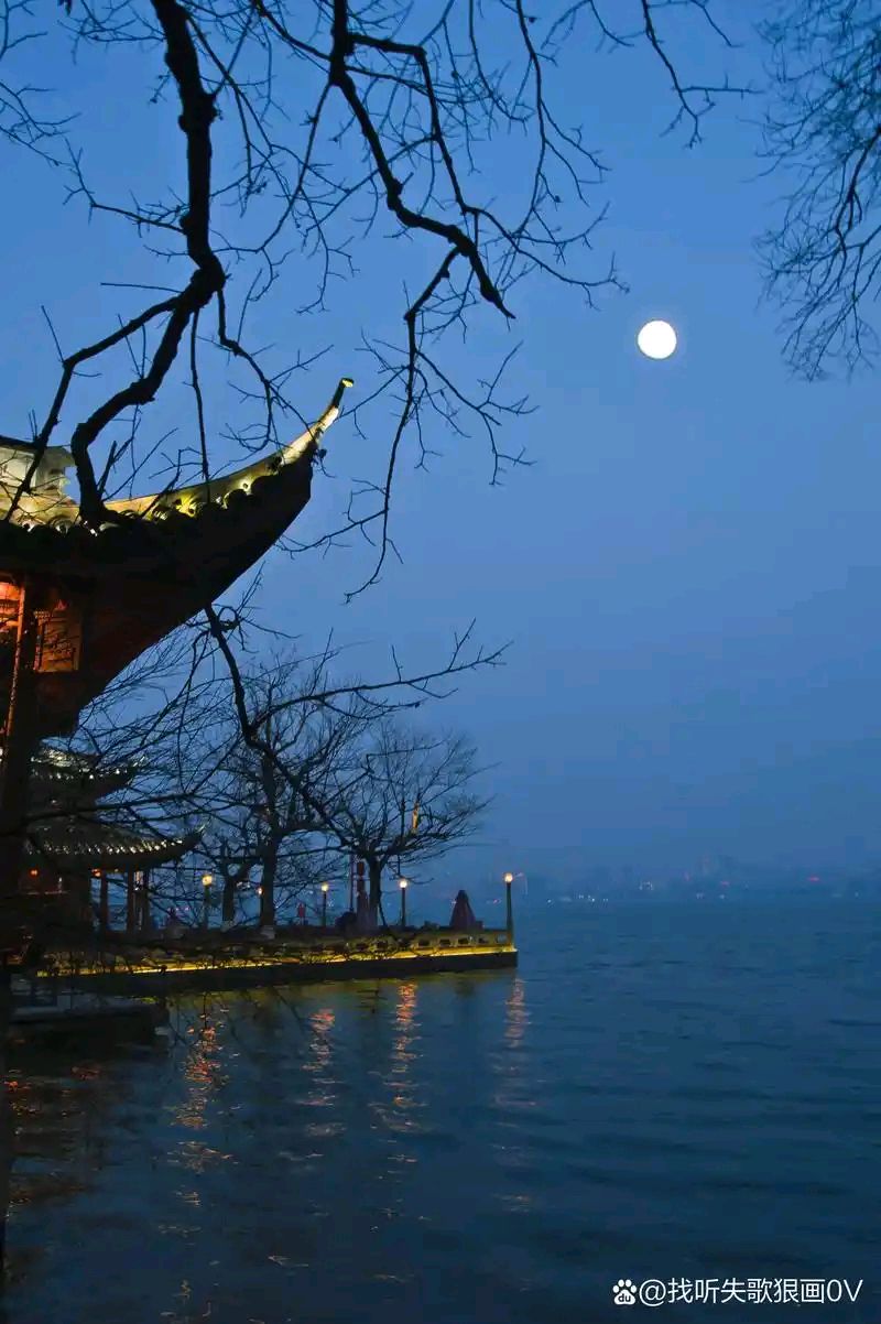 《五绝 • 情抒中秋夜》文/杨子钦（河南鹿邑）