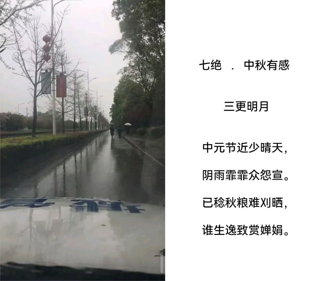 中秋佳节雨，淋伤文人心。（图7）