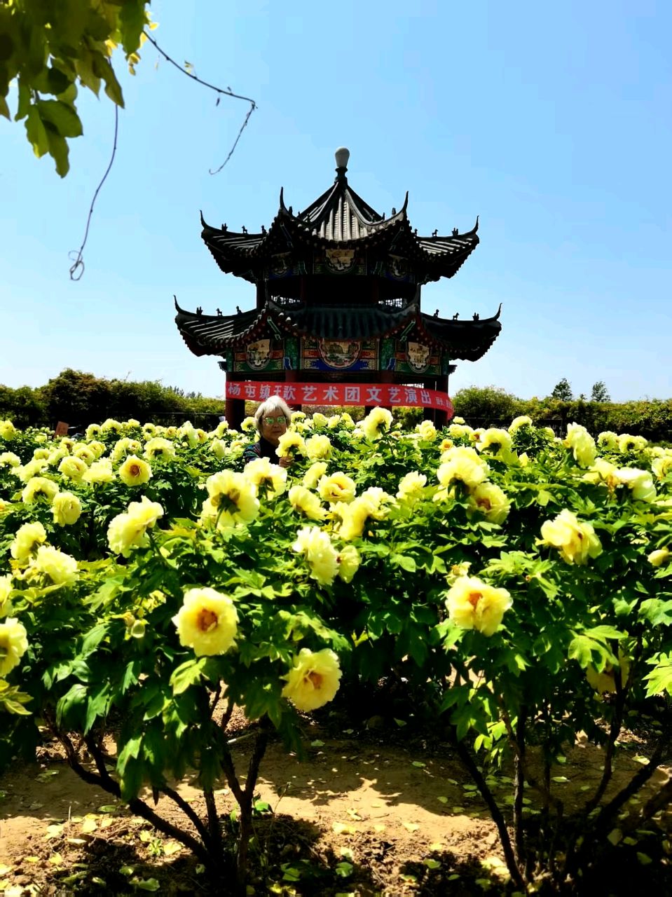 七绝二首-和窗友梅溪小舟（组合）诗词◑浴乎沂（图17）
