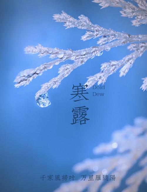临江仙《寒露》作者王/青霞