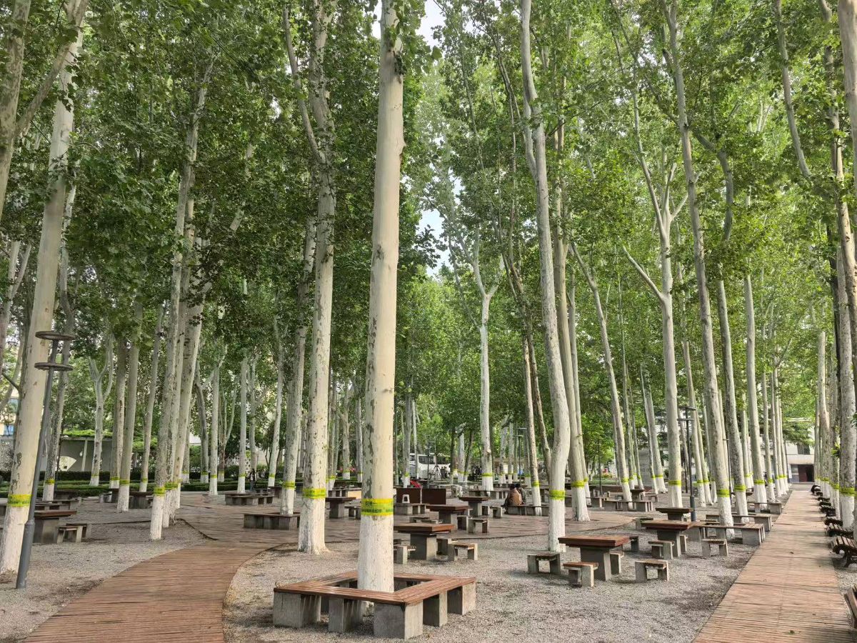 山东大学赋(图4)