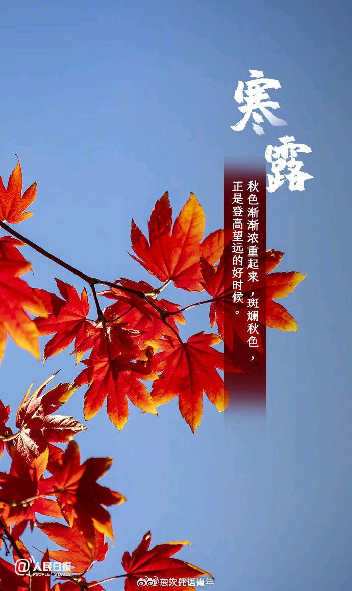 《九江文学社：北京头条》《乙巳寒露节气》专刊（图7）