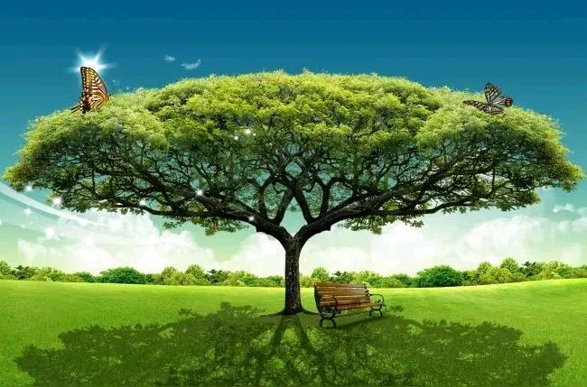 烛影摇红·金秋相聚话绛帐（文/邹晓华）……莲叶之珠文学社（图3）