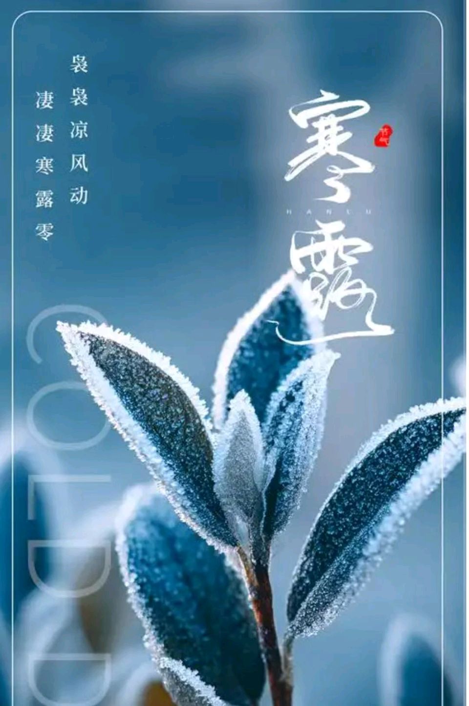联机全球发布王楼作品欣赏(图8)