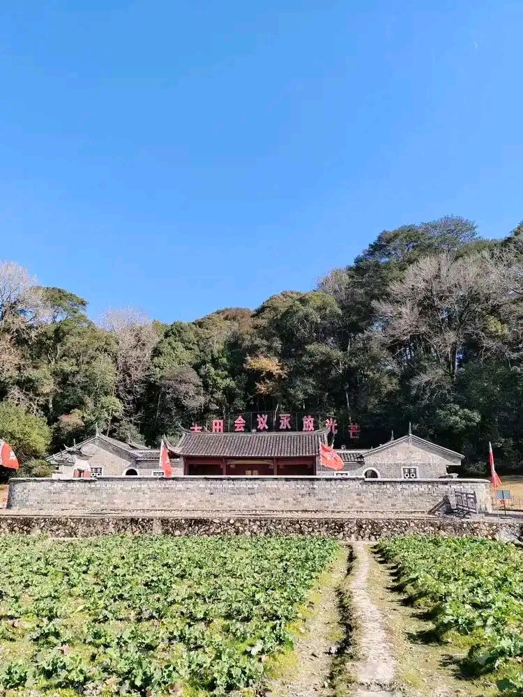 随着蝶舞老师《再游古田会议旧址》后，一起来欣赏《枝上飘落的记忆》“七嘴八舌”说诗评诗系列再次开启——文化强国量子诗歌实验室（筹）（图17）