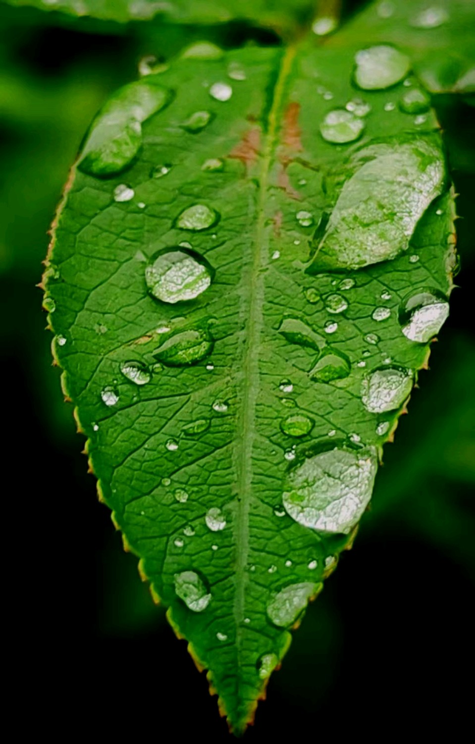 五律·秋雨缠绵 作者：齐宝文（图5）