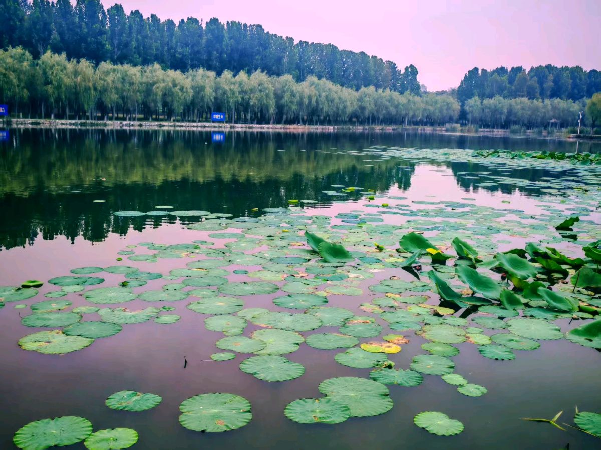 五律·秋雨缠绵 作者：齐宝文（图2）