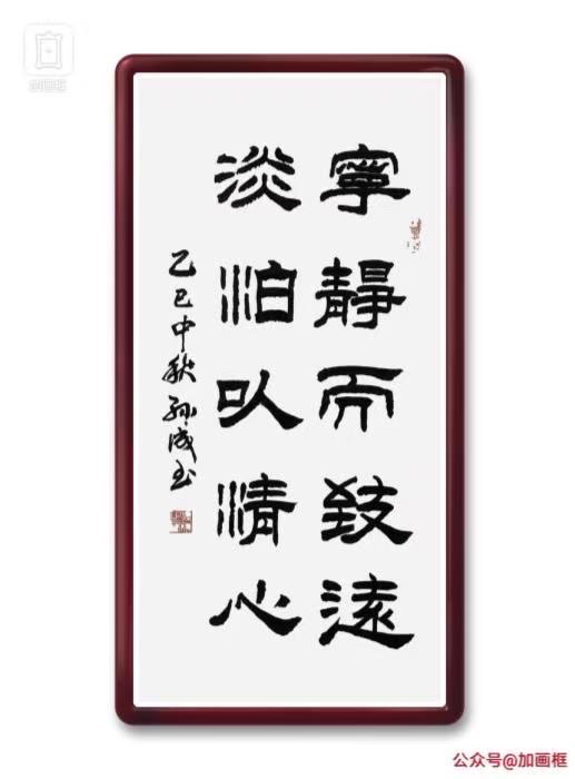 午后观鸥（散文）原创/孙成（图5）