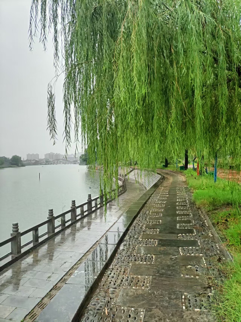 【诗词中国】精品佳作《在雨中撑起一把伞》作者:苍松(图6)