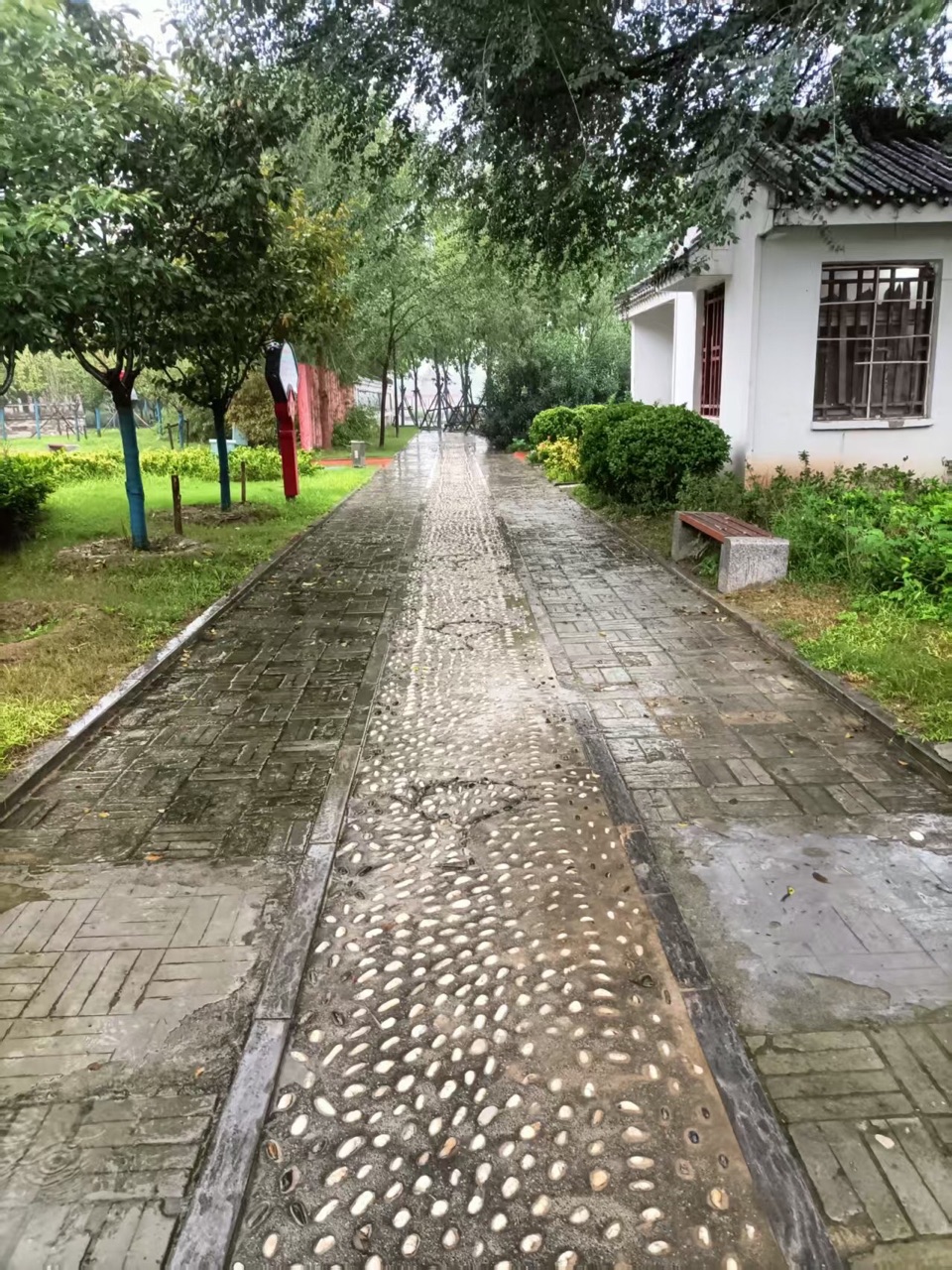 【诗词中国】精品佳作《在雨中撑起一把伞》作者:苍松(图8)