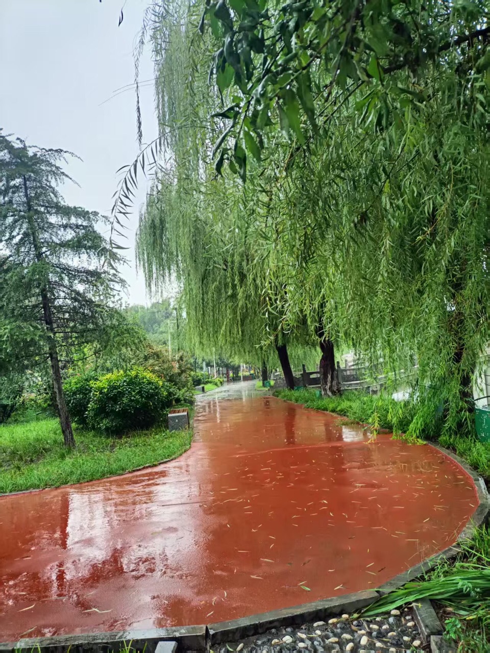 【诗词中国】精品佳作《在雨中撑起一把伞》作者:苍松(图10)