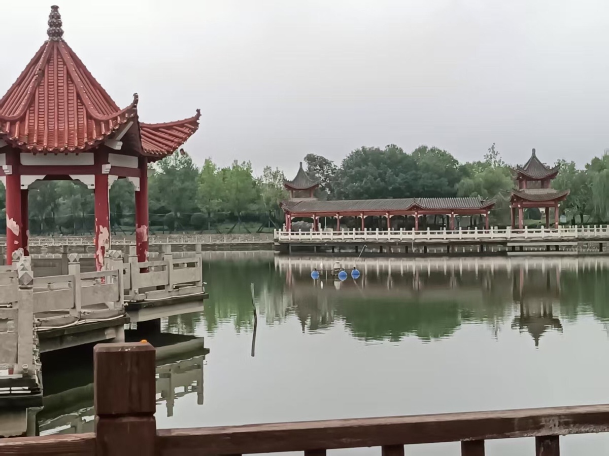 【诗词中国】精品佳作《在雨中撑起一把伞》作者:苍松(图12)