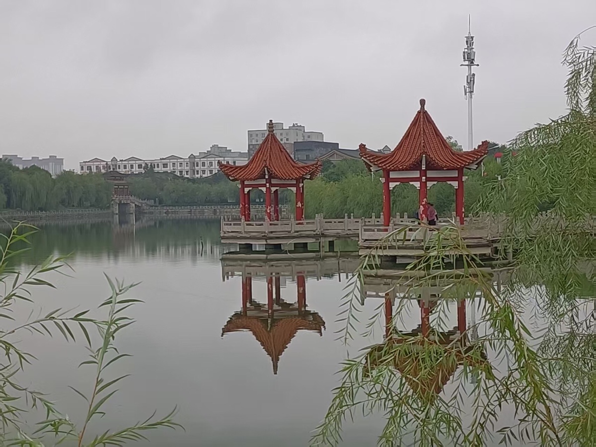 【诗词中国】精品佳作《在雨中撑起一把伞》作者:苍松(图14)