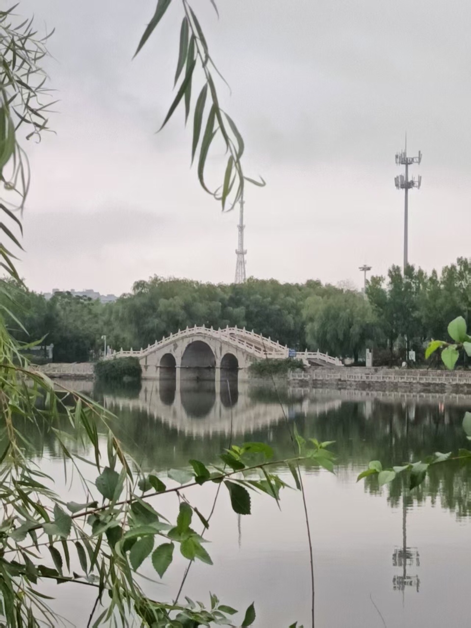 【诗词中国】精品佳作《在雨中撑起一把伞》作者:苍松(图15)
