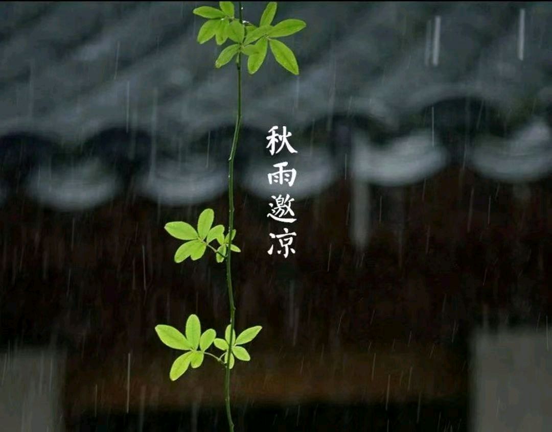 秋雨易醉
