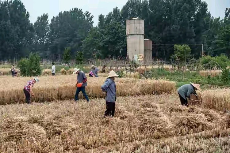 张兴海‖尔雅儒风溢满堂——浅议司晓升的诗文(图4)