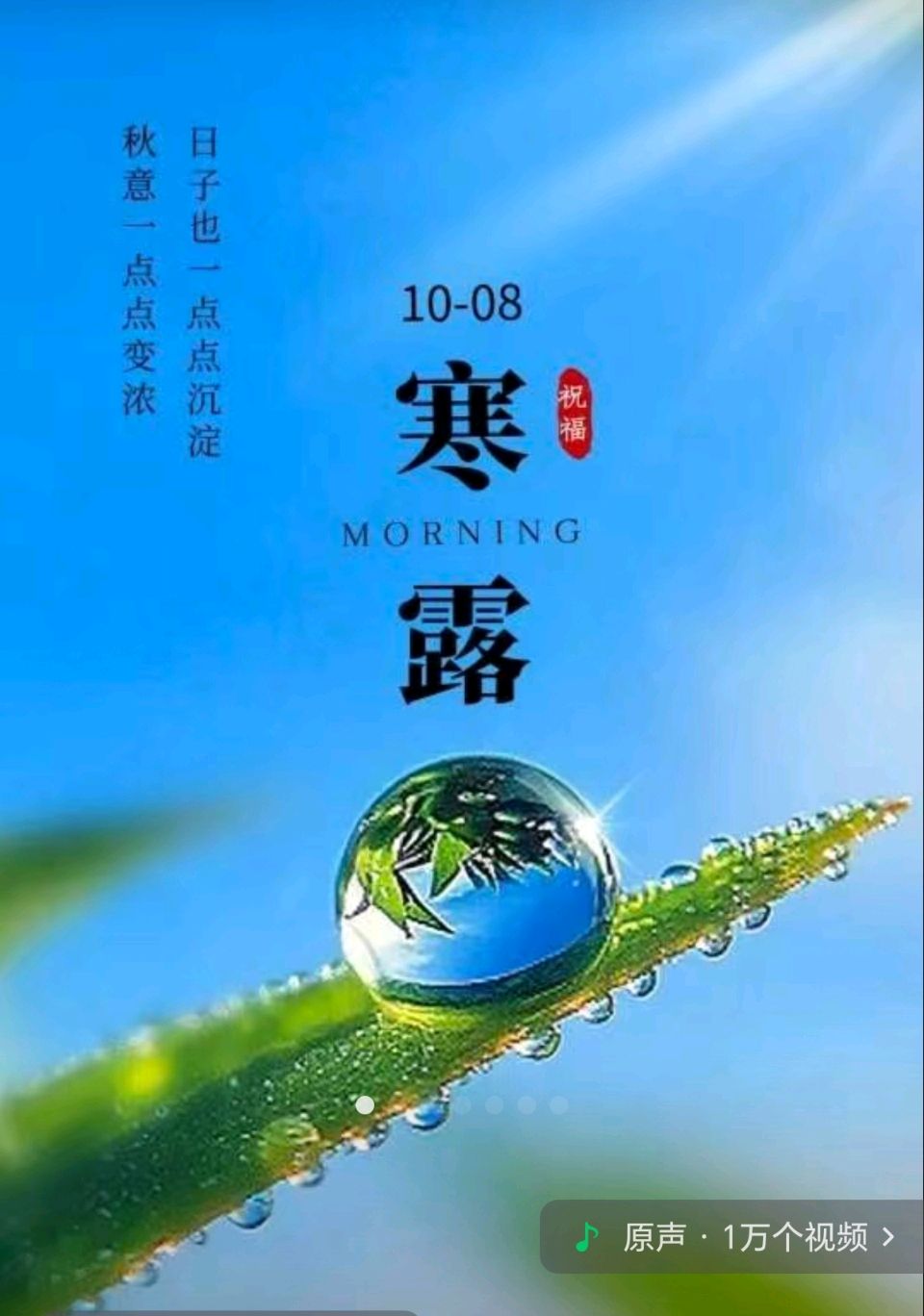 【都市头条向幸福出发编辑部】第14215期 寒露的雨 文 如月主播 玥言（图2）