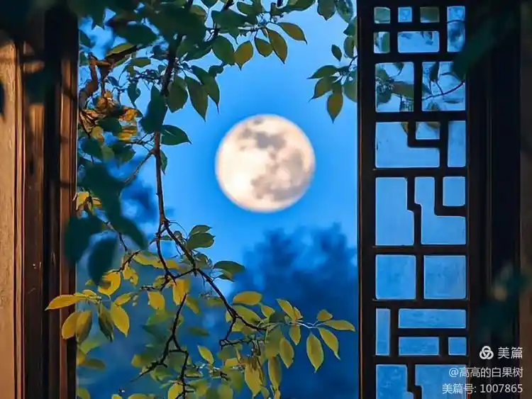 王金政的《秋夜灯语》