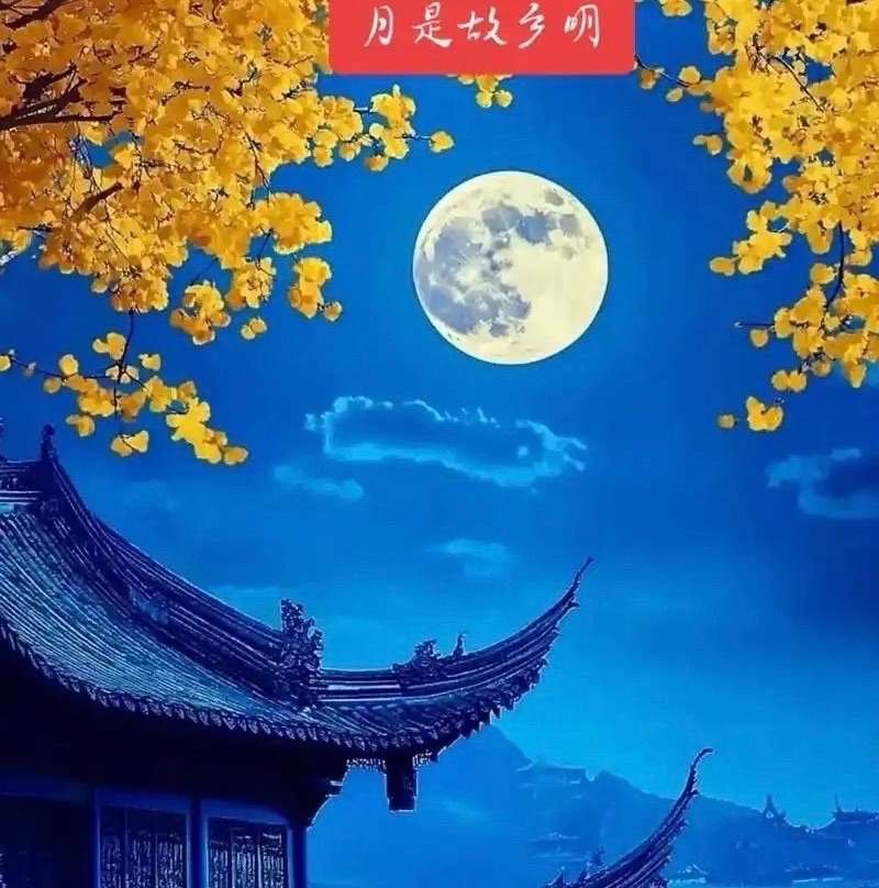 菊花朗诵：《他乡望月》作者||汪孔周｜海外头条（图6）