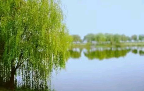 七绝-秋日（三首）诗◑浴乎沂（图15）